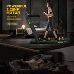 2 In 1 Folding Treadmill, 2.25 HP, 40 in x 16 in Running Area, Dual Display And App Control
