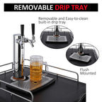 Dual-Tap Stainless Steel Beer Kegerator, 170L With Drip Tray