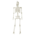 Hanging Posable Skeleton Decoration, White, 5', Halloween by Way To Celebrate