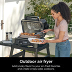 Ninja Outdoor Woodfire Pro XL 4-in-1 Grill BBQ Smoker Air Fryer & Bake, Dark Grey - OG850