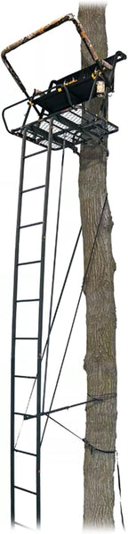2-Person Ladder Tree Stand, 20ft, 500lb Capacity