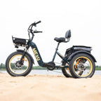 DWMEIGI Silverado 20 inch 48V/14Ah 750W Folding Electric Tricycle With Wide Tires, 150 kg - MG2301