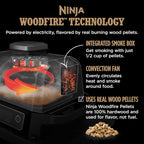 Ninja Woodfire 7-in-1 141-sq-in Outdoor Electric Grill, Smoker & Air Fryer - OG701