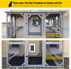 Large Walk-In Outdoor Cat Enclosure With 7 Platforms