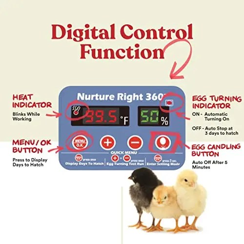 Harris Farms Egg Incubator For Hatching Chicks, Holds 22 Eggs - Nurture Right