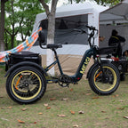 DWMEIGI Silverado 20 Foldable Fat Tire Electric Trike 48V/14AH 750W, 330LBS - MG2301