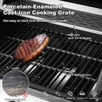 4-Burner Propane Gas Grill With Cast Iron Grates, Side Stove And 44,000 BTU Stainless Steel Burners