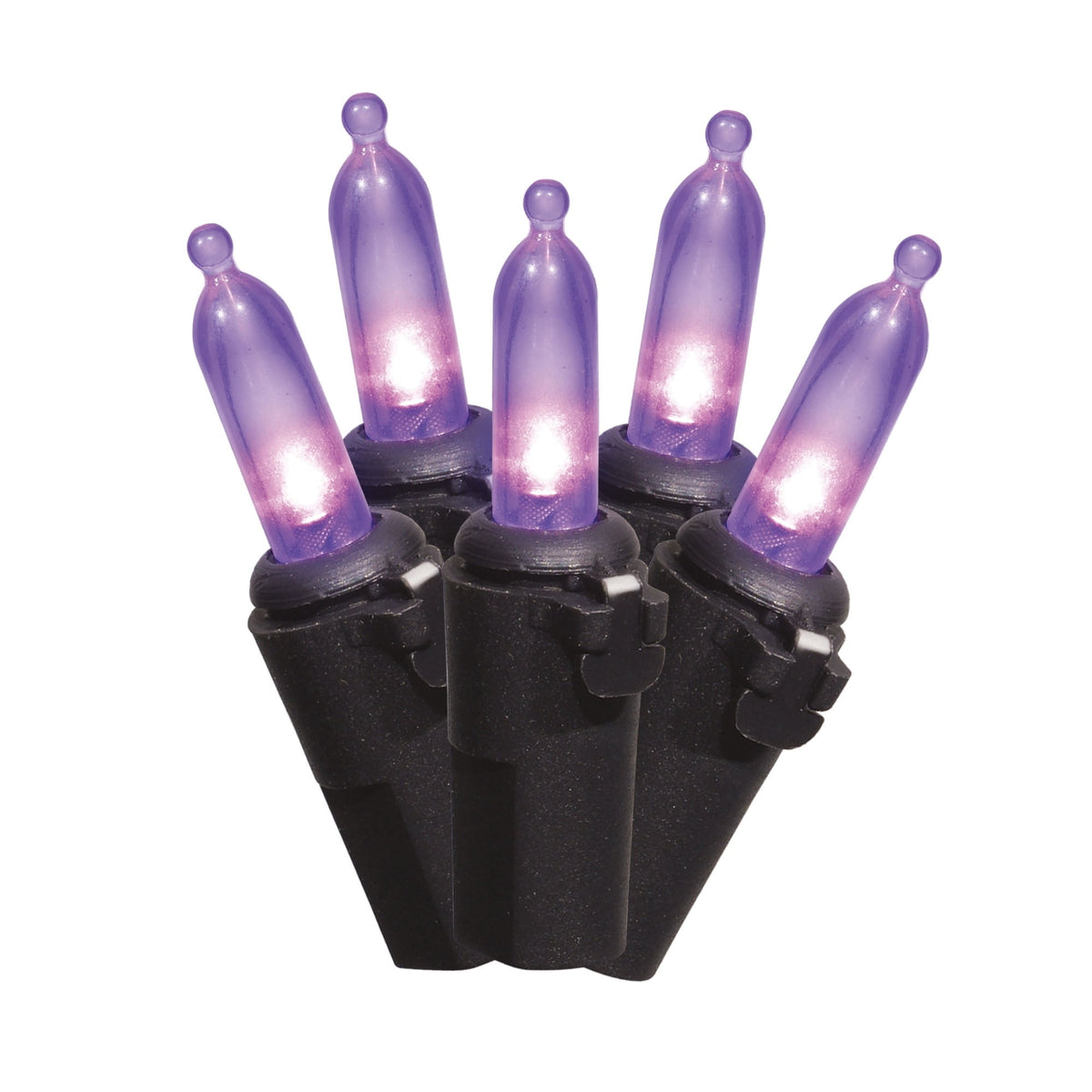 Indoor/Outdoor 50-Count LED Mini String Lights, 9.5', Halloween by Way To Celebrate