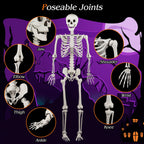 Costway 5.4 FT Halloween Skeleton Decoration Life Size Large Skeleton with Posable Joints 64.5 Inches Ivory White