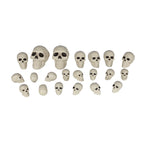 Faux Bag of Skulls, 21 Pieces, Halloween by Way To Celebrate