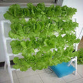 HYDDNice Hydroponic Grow Kit, 4 Layers, 36 Plant Sites