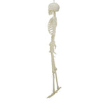 Light-Up LED Poseable Skeleton, Multicolor, 5', Halloween by Way To Celebrate