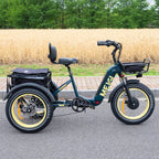 DWMEIGI Silverado 20 Foldable Fat Tire Electric Trike 48V/14AH 750W, 330LBS - MG2301