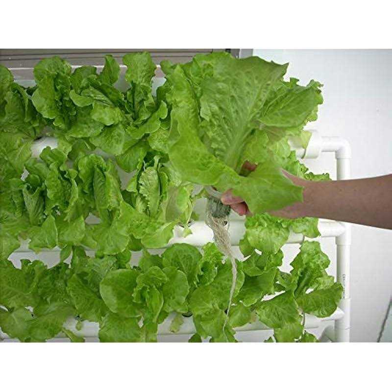 HYDDNice Hydroponic Grow Kit, 4 Layers, 36 Plant Sites