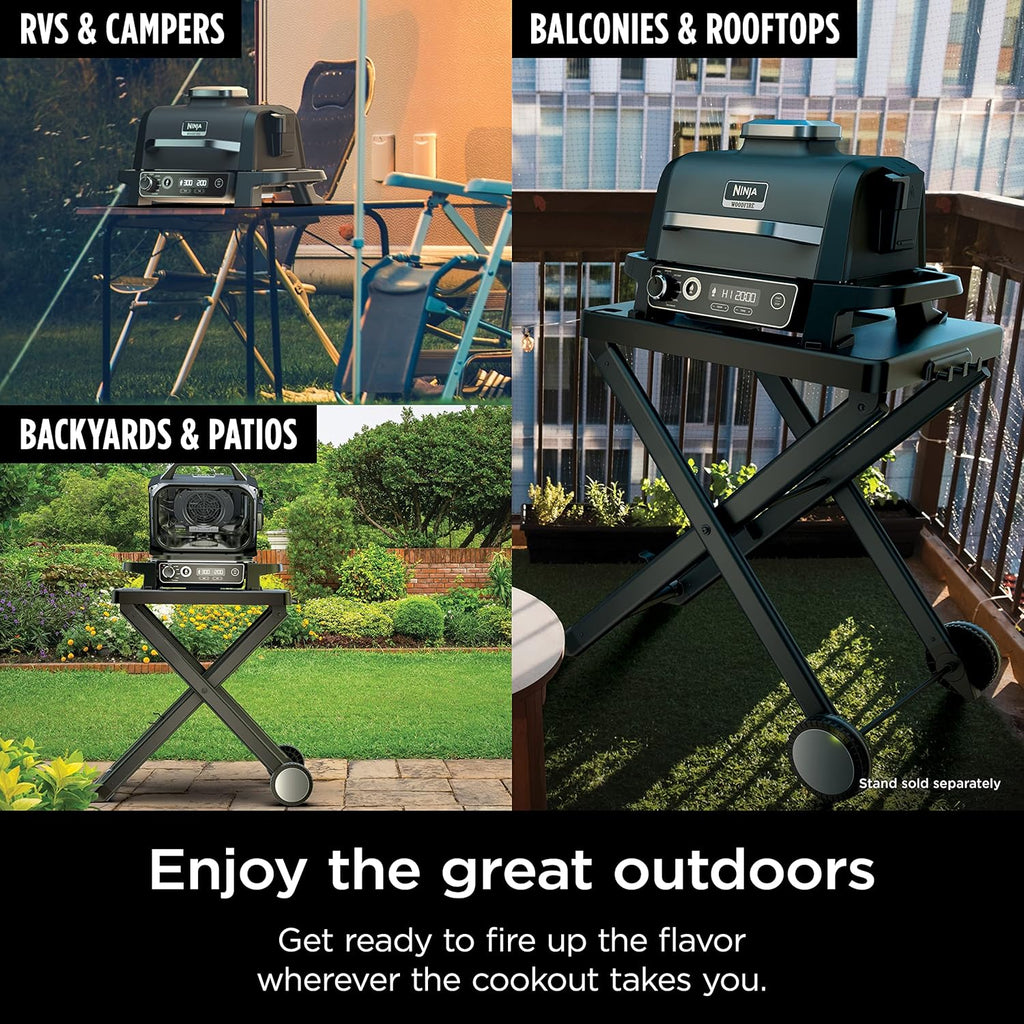 Ninja Woodfire 7-in-1 141-sq-in Outdoor Electric Grill, Smoker & Air Fryer - OG701