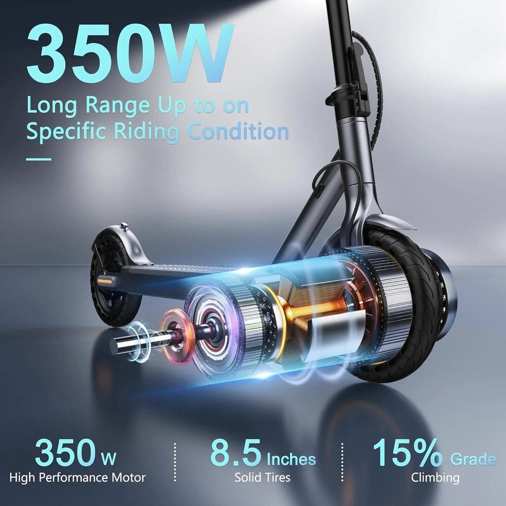 Electric Scooter 10 Inch Solid Tires, 500W, Dual Suspension