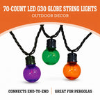 Indoor/Outdoor 70-Count LED G30 Globe String Lights, 21', Halloween by Way To Celebrate