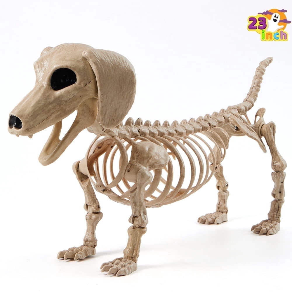 Joyfy 9.8 Inch Halloween Skeleton Dog Skeleton Halloween Decor, Pose-N-Stay Plastic Skeleton Bones with Posable Joints for Hallowmas Decoration Outdoor Haunted House Party