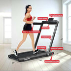 2 In 1 Folding Treadmill, 2.25 HP, 40 in x 16 in Running Area, Dual Display And App Control