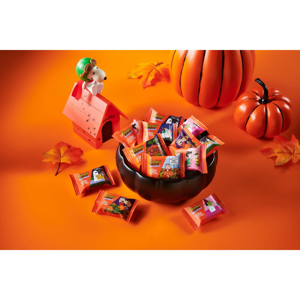 Reese's Miniatures Snoopy™ & Friends Milk Chocolate Peanut Butter Cups Halloween Candy, Bag 9.92 oz