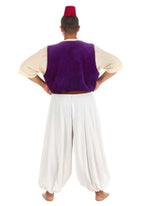 Plus Size Disney Aladdin Deluxe Men's Costume