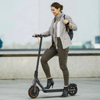 Electric Scooter 10 Inch Solid Tires, 500W, Dual Suspension