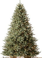Balsam Hill Artificial Christmas Tree 7.5ft Pre-Lit Classic Blue Spruce With 1000 Clear Incandescent Lights